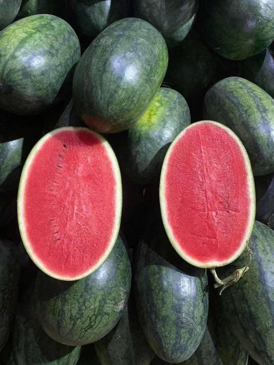Tiểu thương lý giải nguyên nhân dưa hấu bán tràn ngập thị trường giá chỉ 5.000 đồng/kg,- Ảnh 3. Tiểu thương lý giải nguyên nhân dưa hấu bán tràn ngập thị trường giá chỉ 5.000 đồng/kg,- Ảnh 3.