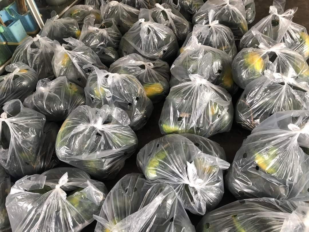 Tiểu thương lý giải nguyên nhân dưa hấu bán tràn ngập thị trường giá chỉ 5.000 đồng/kg,- Ảnh 10. Tiểu thương lý giải nguyên nhân dưa hấu bán tràn ngập thị trường giá chỉ 5.000 đồng/kg,- Ảnh 10.