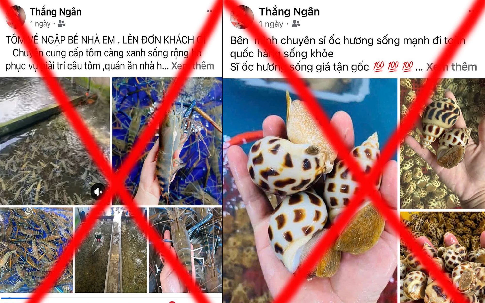 Triệt phá đường dây 'siêu trộm' 21.000 thẻ tín dụng quốc tế- Ảnh 2.
