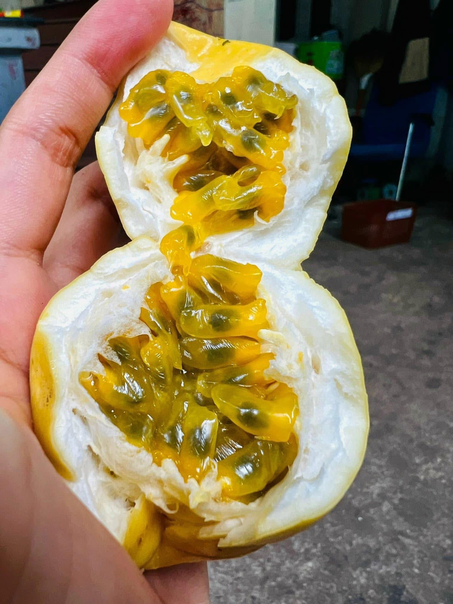 Chanh leo vàng hương ổi được chị em thi nhau săn đón giải nhiệt ngày hè- Ảnh 12. Chanh leo vàng hương ổi được chị em thi nhau săn đón giải nhiệt ngày hè- Ảnh 12.
