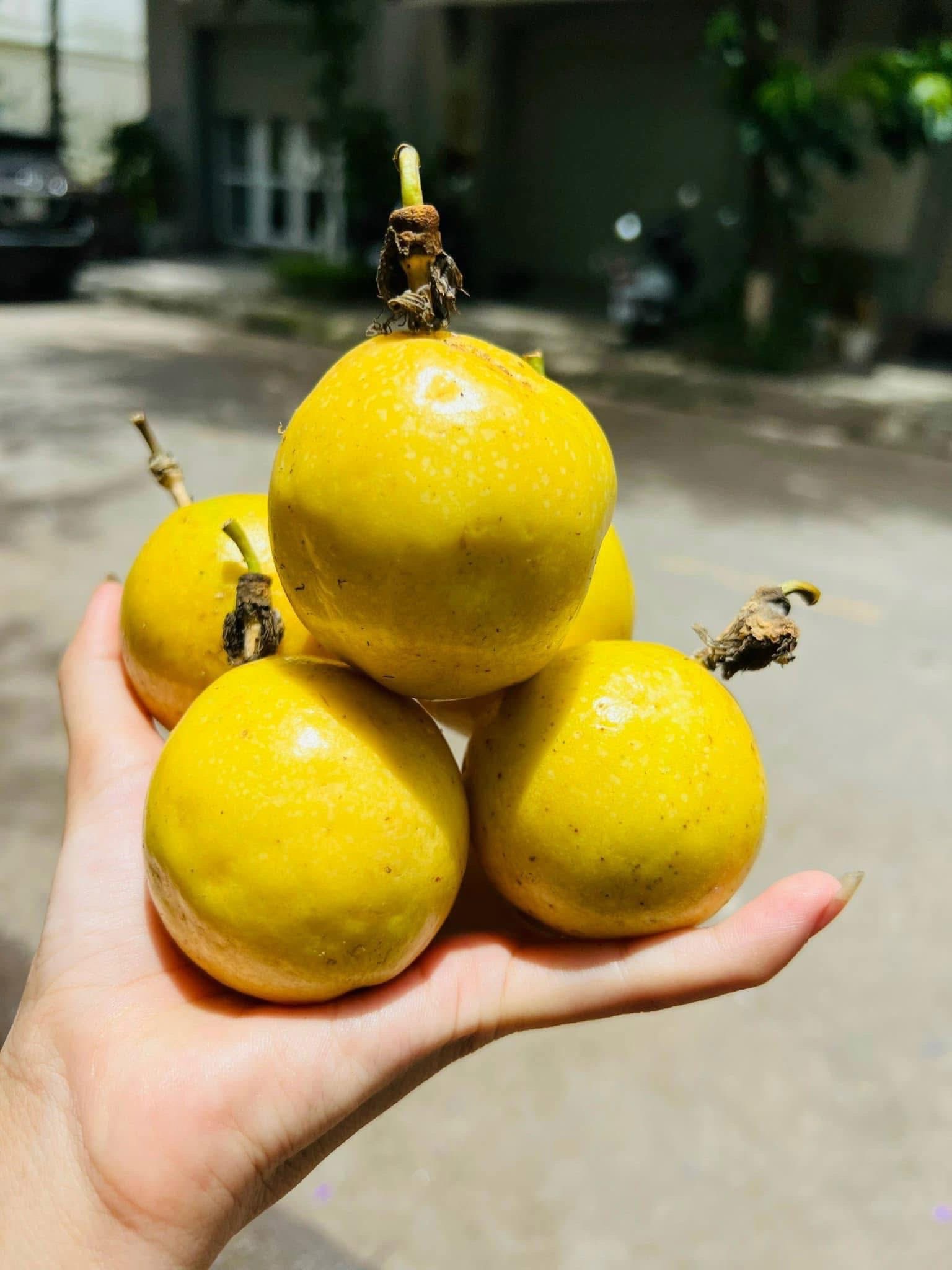 Chanh leo vàng hương ổi được chị em thi nhau săn đón giải nhiệt ngày hè- Ảnh 11. Chanh leo vàng hương ổi được chị em thi nhau săn đón giải nhiệt ngày hè- Ảnh 11.