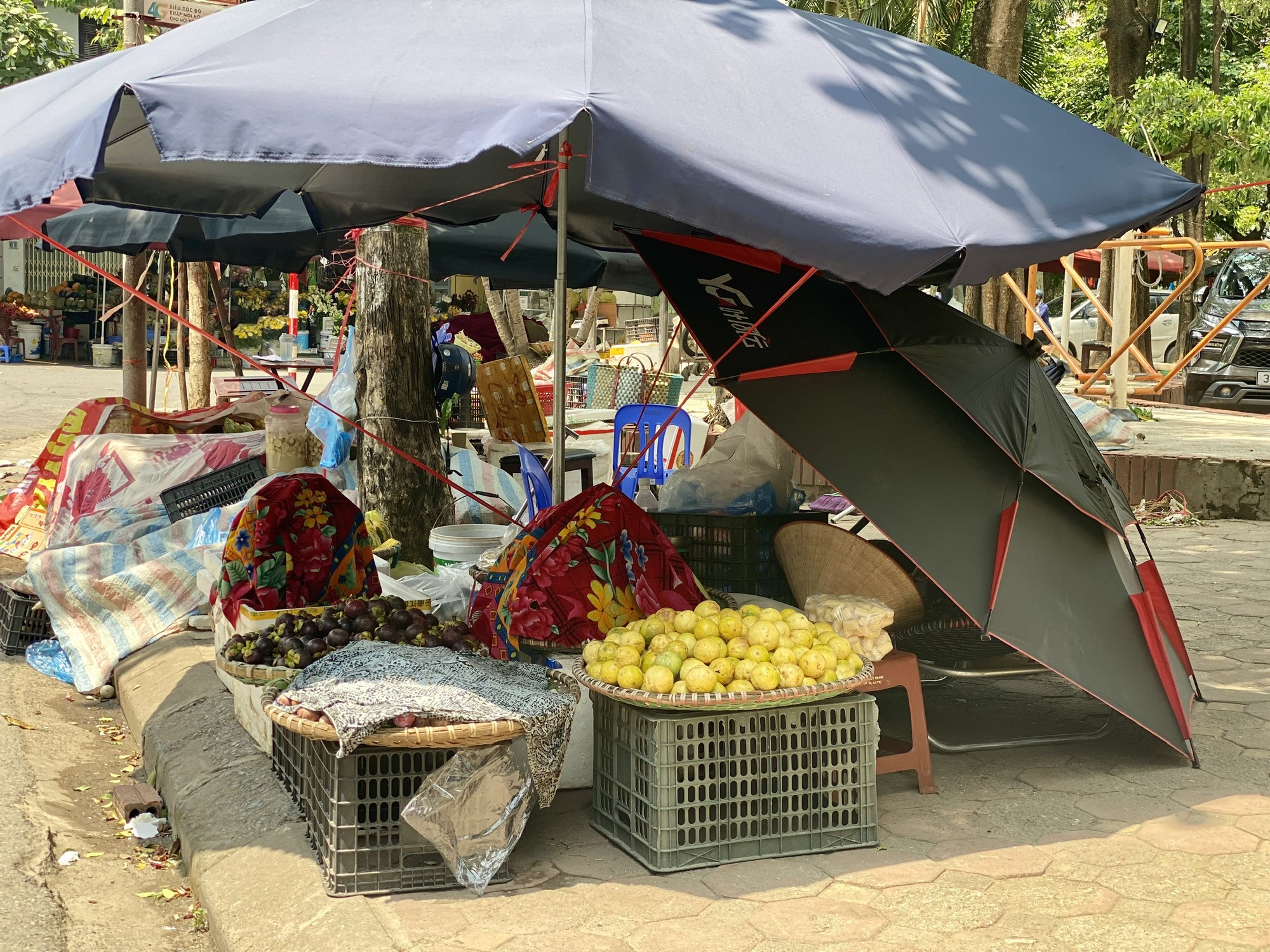 Chanh leo vàng hương ổi được chị em thi nhau săn đón giải nhiệt ngày hè- Ảnh 5. Chanh leo vàng hương ổi được chị em thi nhau săn đón giải nhiệt ngày hè- Ảnh 5.