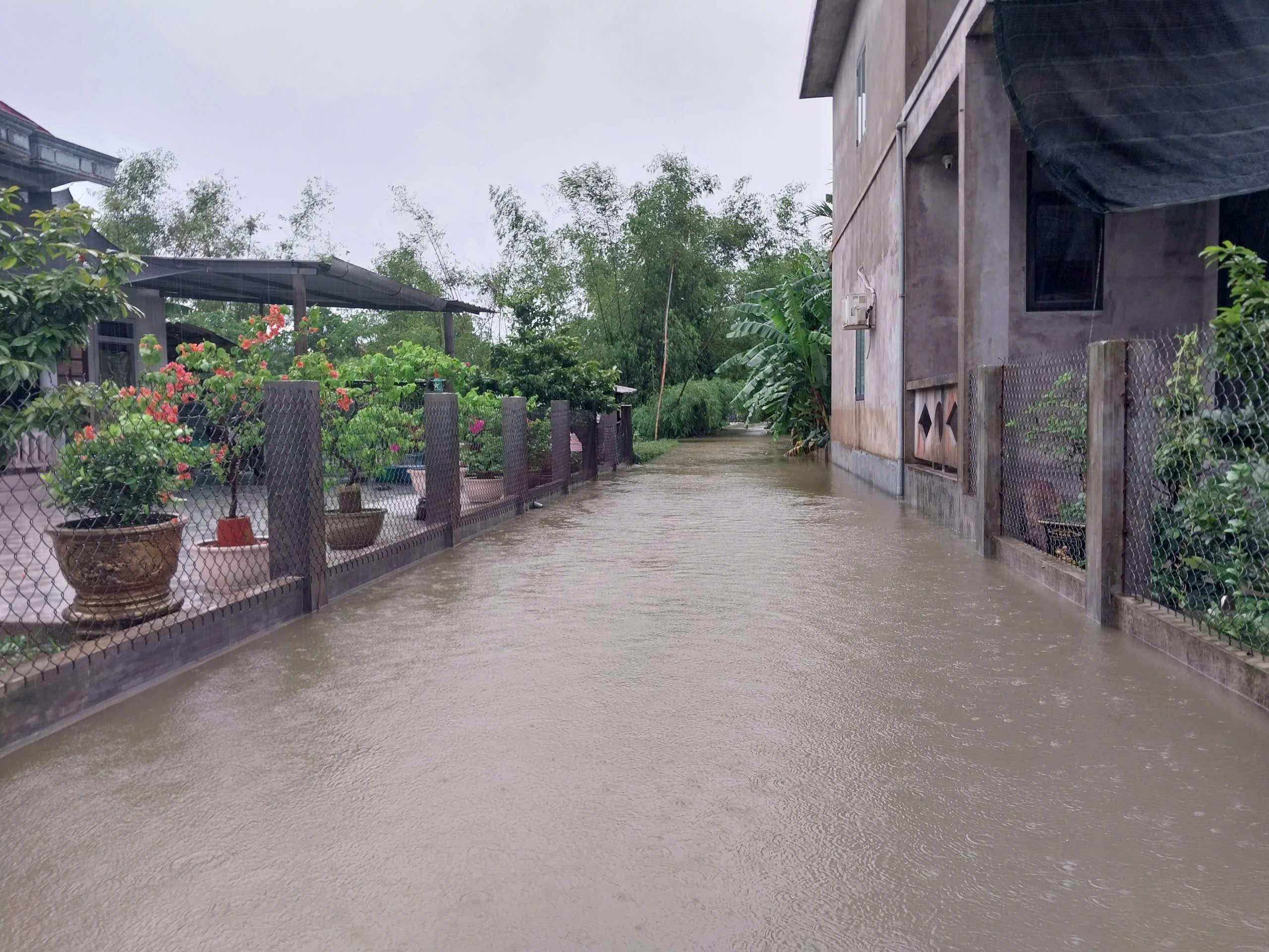 Mưa lũ giữa mùa hè ở Huế: 'Quá bất thường, chưa từng có'- Ảnh 3. Mưa lũ giữa mùa hè ở Huế: 'Quá bất thường, chưa từng có'- Ảnh 3.