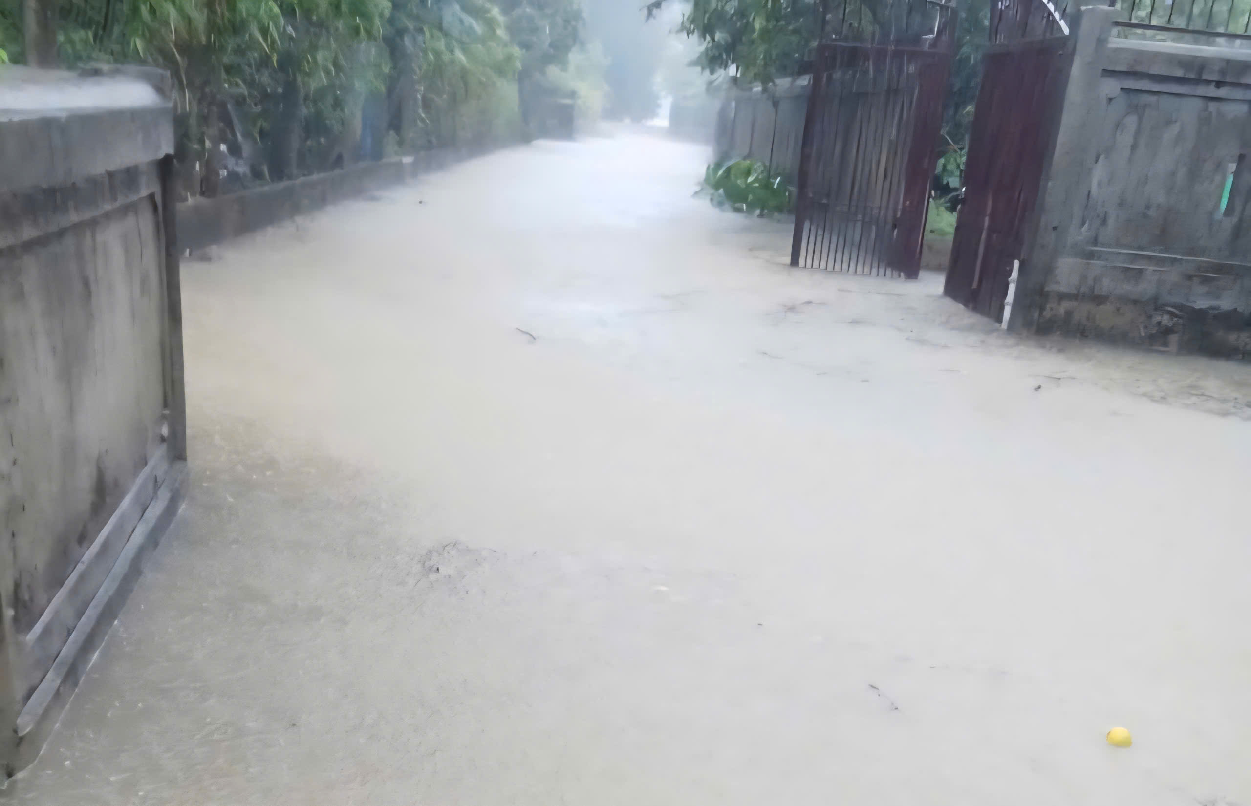 Mưa lũ bất thường giữa mùa hè, nhiều nhà dân ở Quảng Trị ngập sâu, có nơi hơn 1,5m- Ảnh 7. Mưa lũ bất thường giữa mùa hè, nhiều nhà dân ở Quảng Trị ngập sâu, có nơi hơn 1,5m- Ảnh 7.