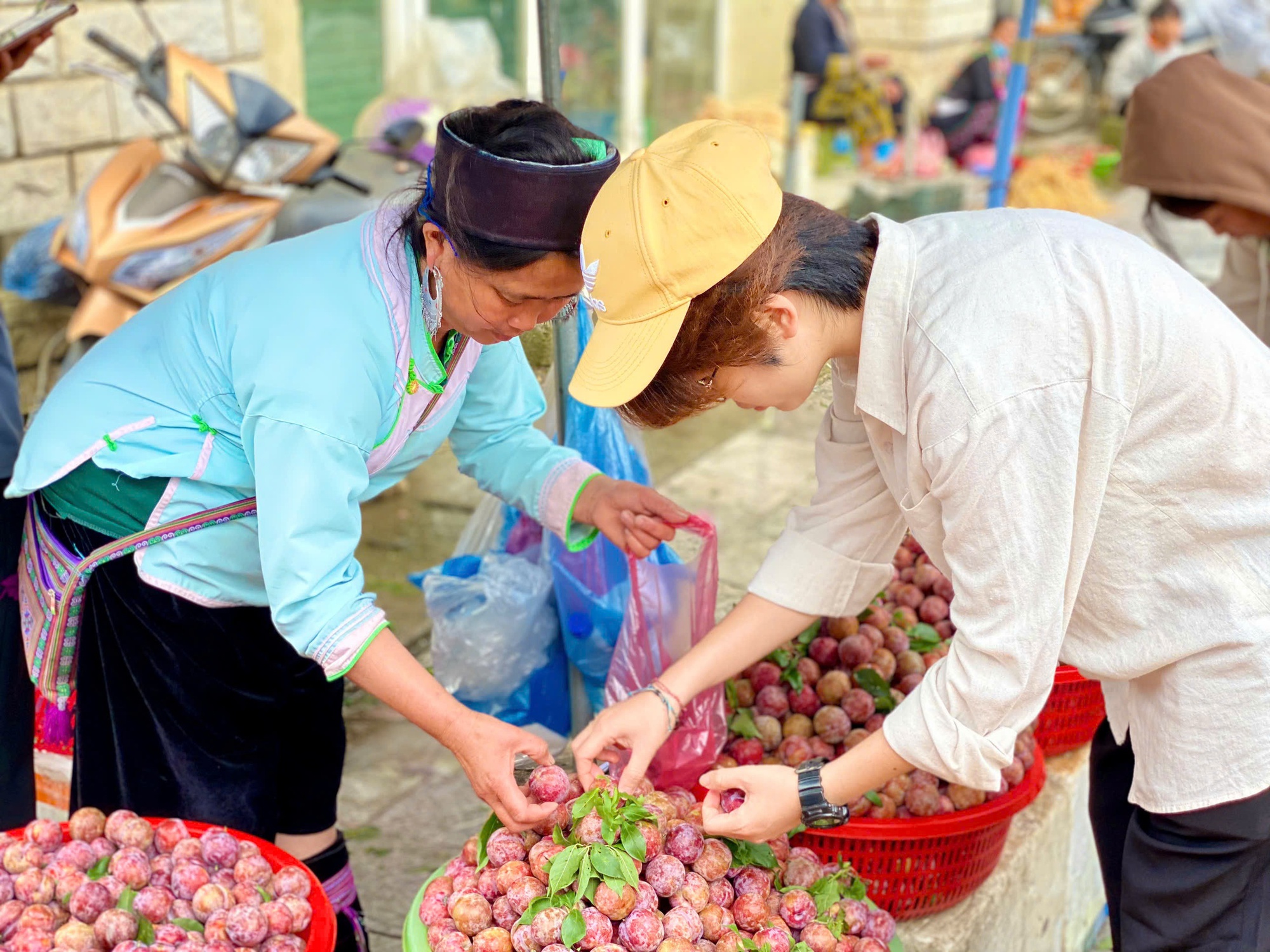 Mận hậu bán ngập thị trường, tiểu thương chỉ cách phân biệt mận Việt và mận Trung Quốc- Ảnh 4. Mận hậu bán ngập thị trường, tiểu thương chỉ cách phân biệt mận Việt và mận Trung Quốc- Ảnh 4.
