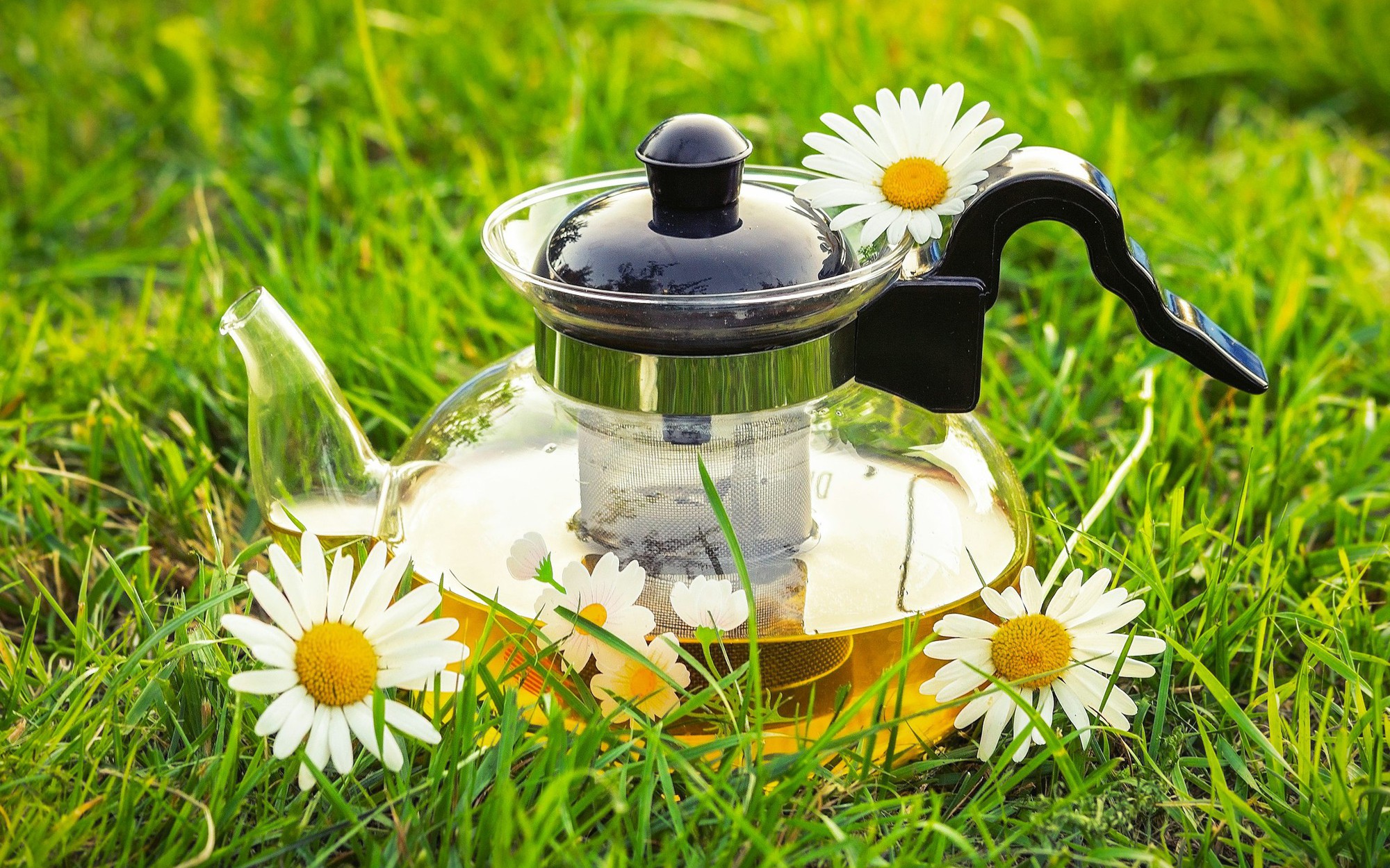 Uống gì để da trắng hồng từ bên trong?