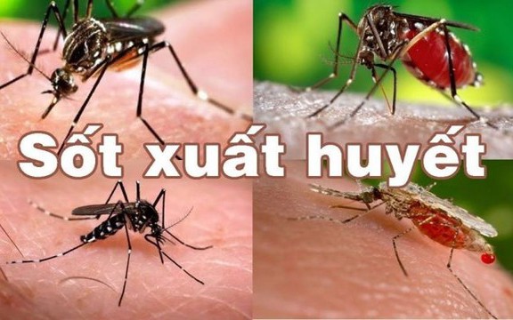 Giai đoạn nguy hiểm khi trẻ mắc sốt xuất huyết cha mẹ cần lưu ý