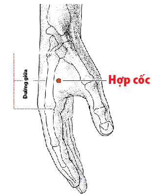 Xoa bóp bấm huyệt giúp tăng sức đề kháng mùa nắng nóng- Ảnh 1.