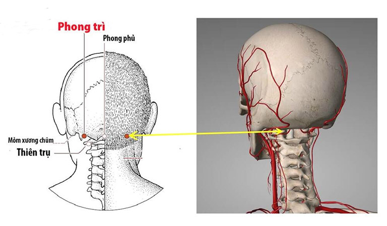 Xoa bóp bấm huyệt giúp tăng sức đề kháng mùa nắng nóng- Ảnh 5.