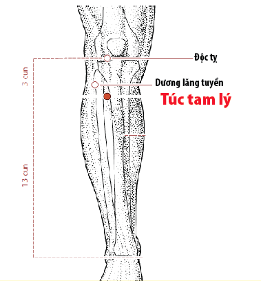 Xoa bóp bấm huyệt giúp tăng sức đề kháng mùa nắng nóng- Ảnh 3.