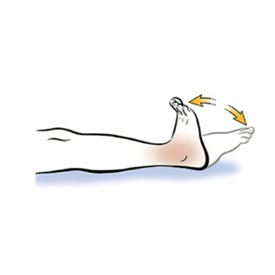 Bài tập co duỗi cổ chân ngăn ngừa cục máu đông- Ảnh 3. image_full