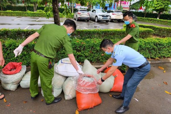 Phát hiện gần 1 tấn nội tạng động vật trong tình trạng phân hủy trên đường vận chuyển về Hà Nội tiêu thụ- Ảnh 1. Phát hiện gần 1 tấn nội tạng động vật trong tình trạng phân hủy trên đường vận chuyển về Hà Nội tiêu thụ- Ảnh 1.