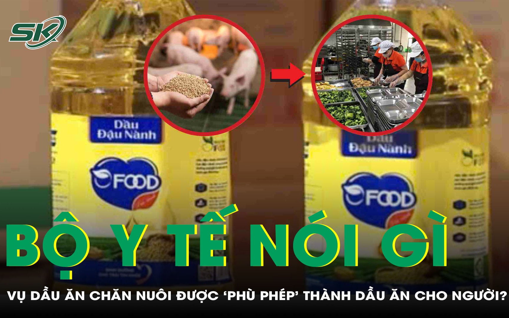 Bộ Y tế lên tiếng vụ dầu ăn chăn nuôi được "phù phép" thành dầu ăn cho người