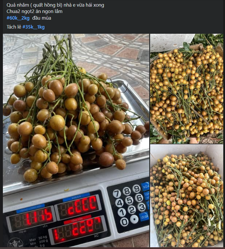 Loại quả ăn vặt dân dã vào mùa, chị em thi nhau săn đón thưởng thức- Ảnh 4. Loại quả ăn vặt dân dã vào mùa, chị em thi nhau săn đón thưởng thức- Ảnh 4.