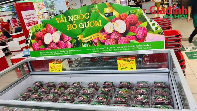 Loại vải giá bán hơn nửa triệu/kg: Cung không đủ cầu, dân Hà thành xếp hàng đợi mua- Ảnh 1. Loại vải giá bán hơn nửa triệu/kg: Cung không đủ cầu, dân Hà thành xếp hàng đợi mua- Ảnh 1.