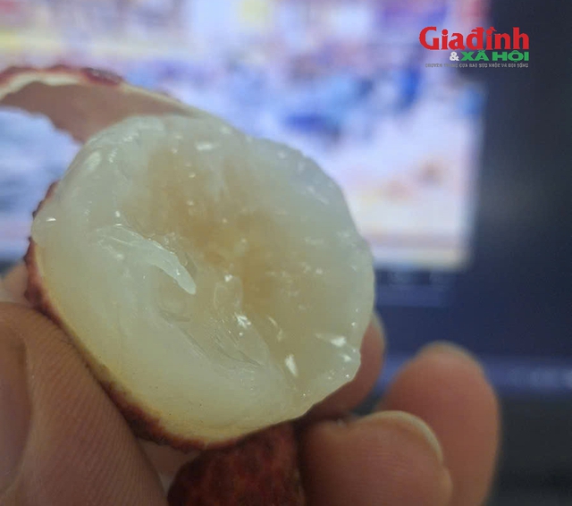 Loại vải giá bán hơn nửa triệu/kg: Cung không đủ cầu, dân Hà thành xếp hàng đợi mua- Ảnh 3. Loại vải giá bán hơn nửa triệu/kg: Cung không đủ cầu, dân Hà thành xếp hàng đợi mua- Ảnh 3.