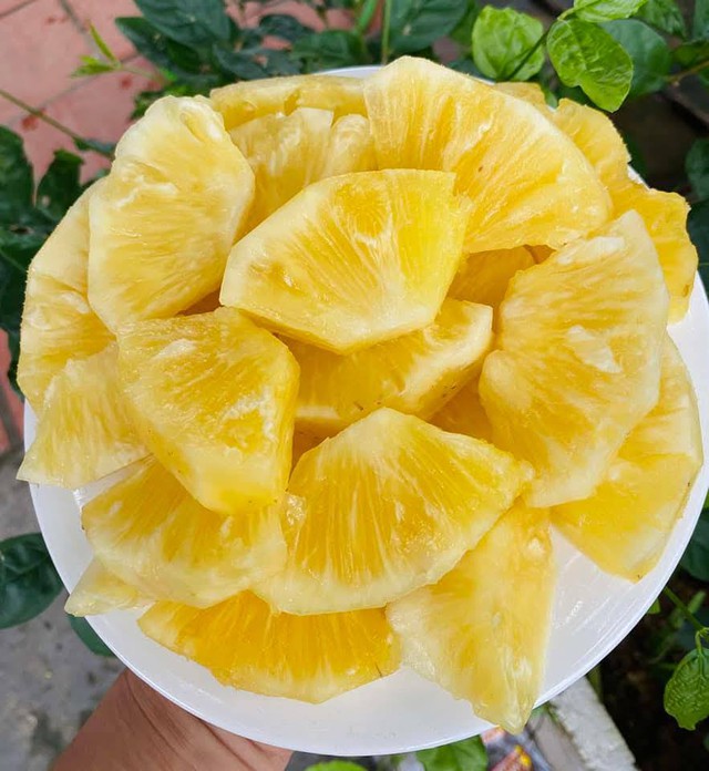 Xuất hiện loại dứa lạ trên thị trường, thơm ngon như mật được chị em đua nhau săn đón- Ảnh 9. Xuất hiện loại dứa lạ trên thị trường, thơm ngon như mật được chị em đua nhau săn đón- Ảnh 9.