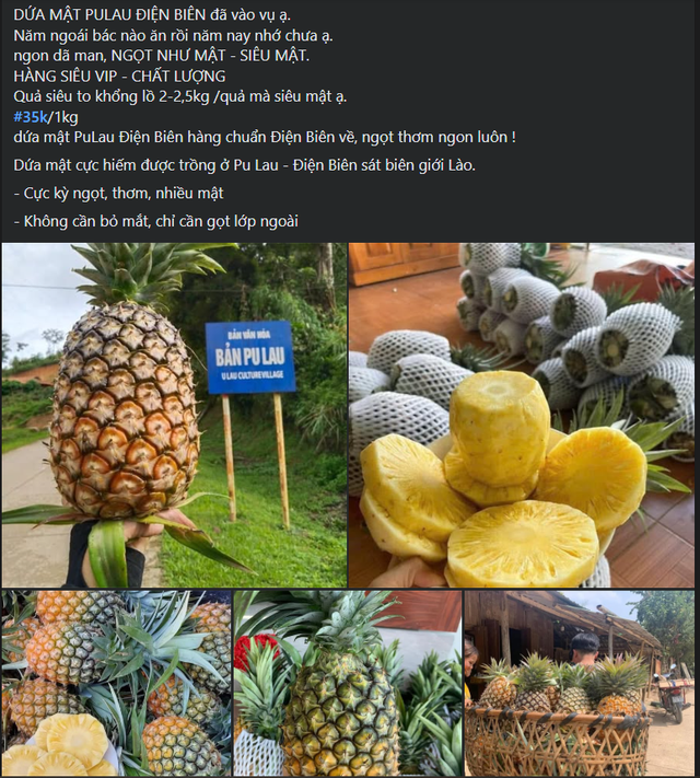Xuất hiện loại dứa lạ trên thị trường, thơm ngon như mật được chị em đua nhau săn đón- Ảnh 2. Xuất hiện loại dứa lạ trên thị trường, thơm ngon như mật được chị em đua nhau săn đón- Ảnh 2.