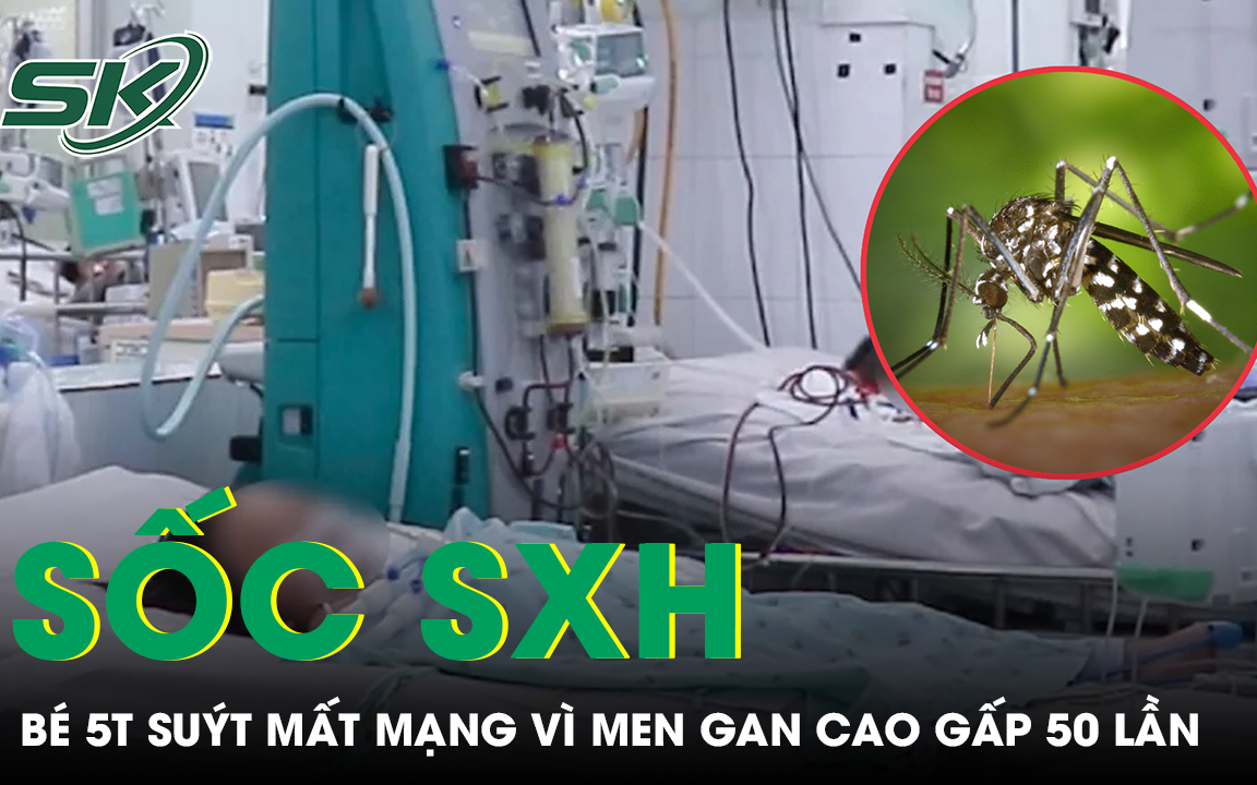 Cấp cứu cho bé gái 5 tuổi sốc sốt xuất huyết, chỉ số men gan cao gấp 50 lần bình thường