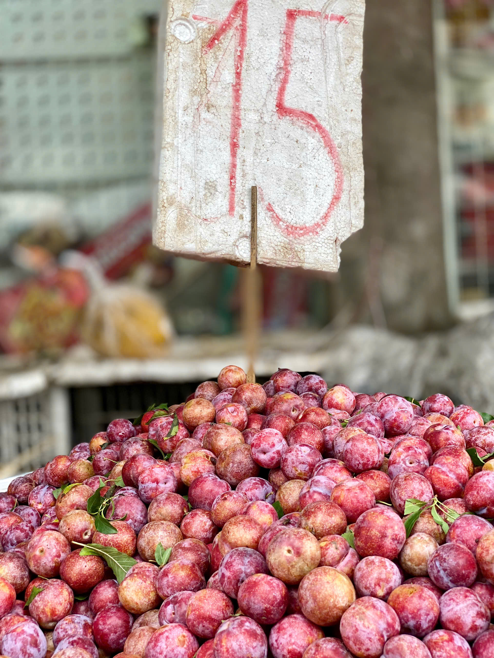 Mận hậu giảm giá sâu chỉ còn vài nghìn đồng/kg bán đổ đống đầy thị trường- Ảnh 8. Mận hậu giảm giá sâu chỉ còn vài nghìn đồng/kg bán đổ đống đầy thị trường- Ảnh 8.