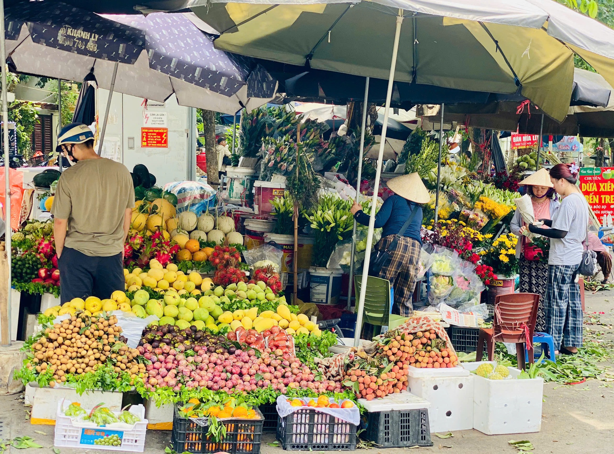 Mận hậu giảm giá sâu chỉ còn vài nghìn đồng/kg bán đổ đống đầy thị trường- Ảnh 5. Mận hậu giảm giá sâu chỉ còn vài nghìn đồng/kg bán đổ đống đầy thị trường- Ảnh 5.