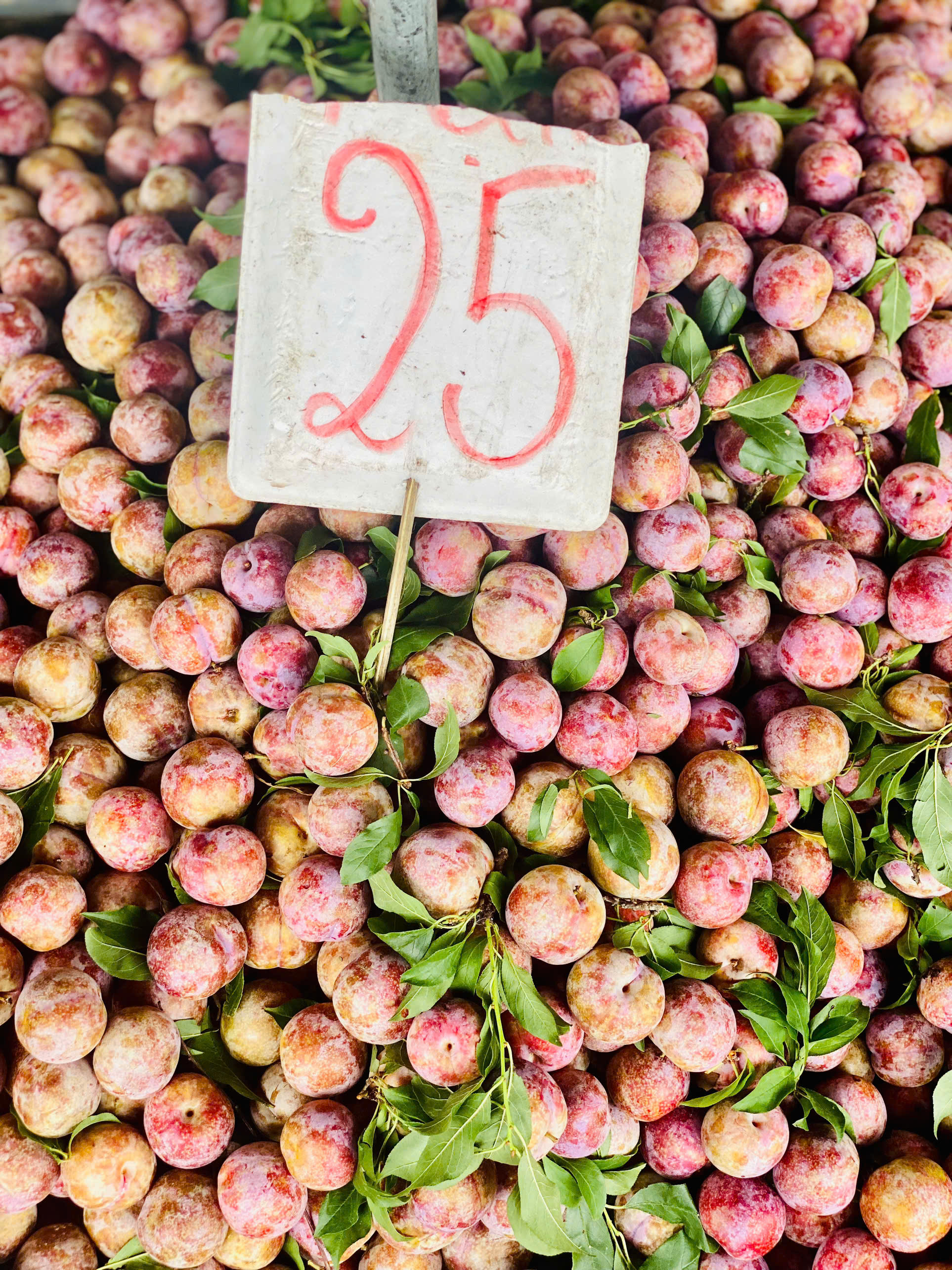 Mận hậu giảm giá sâu chỉ còn vài nghìn đồng/kg bán đổ đống đầy thị trường- Ảnh 9. Mận hậu giảm giá sâu chỉ còn vài nghìn đồng/kg bán đổ đống đầy thị trường- Ảnh 9.