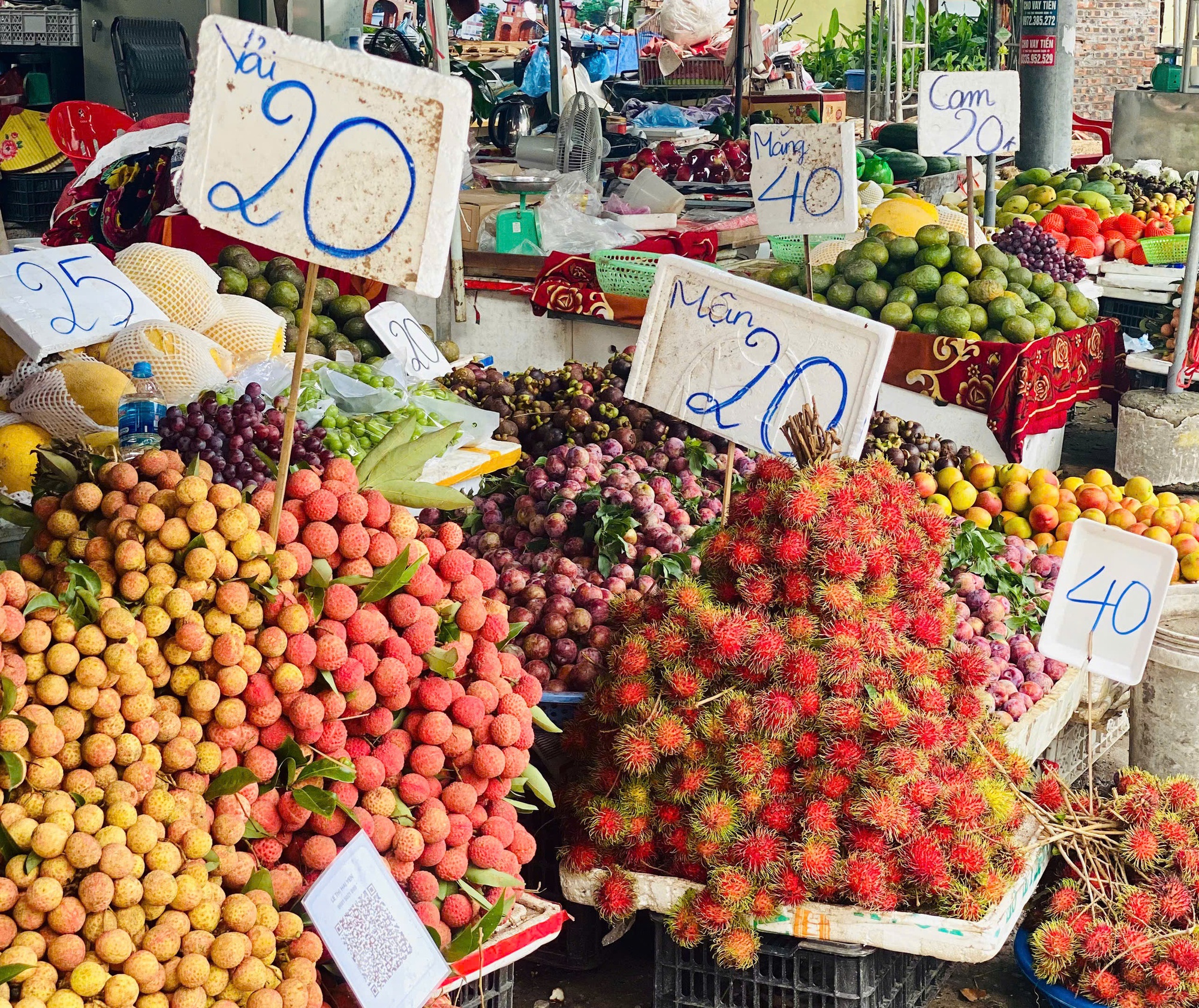 Mận hậu giảm giá sâu chỉ còn vài nghìn đồng/kg bán đổ đống đầy thị trường- Ảnh 1. Mận hậu giảm giá sâu chỉ còn vài nghìn đồng/kg bán đổ đống đầy thị trường- Ảnh 1.