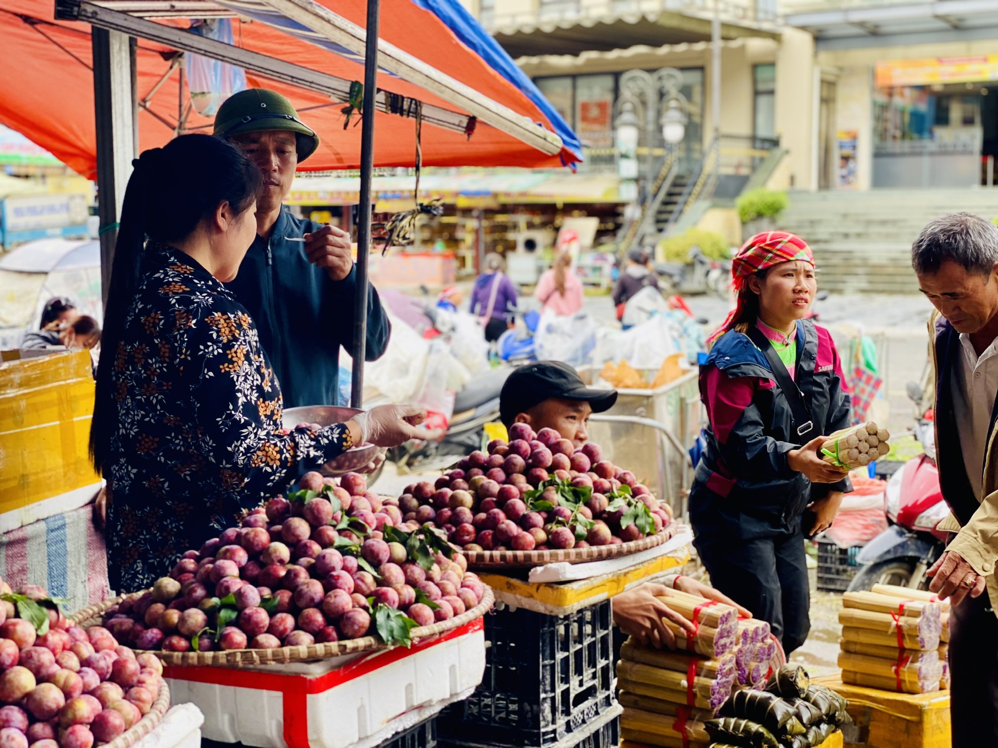 Mận hậu giảm giá sâu chỉ còn vài nghìn đồng/kg bán đổ đống đầy thị trường- Ảnh 2. Mận hậu giảm giá sâu chỉ còn vài nghìn đồng/kg bán đổ đống đầy thị trường- Ảnh 2.