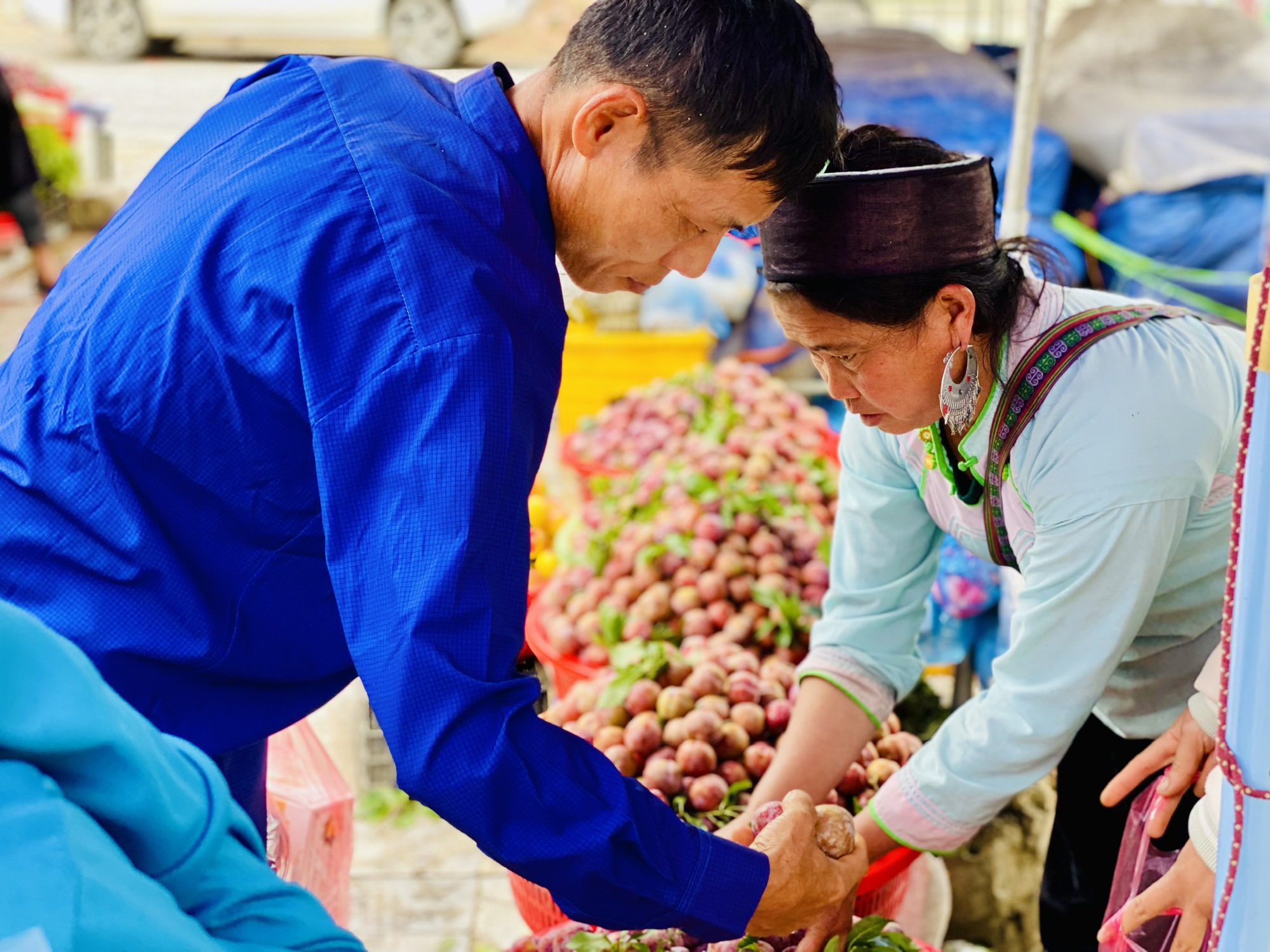 Mận hậu giảm giá sâu chỉ còn vài nghìn đồng/kg bán đổ đống đầy thị trường- Ảnh 7. Mận hậu giảm giá sâu chỉ còn vài nghìn đồng/kg bán đổ đống đầy thị trường- Ảnh 7.