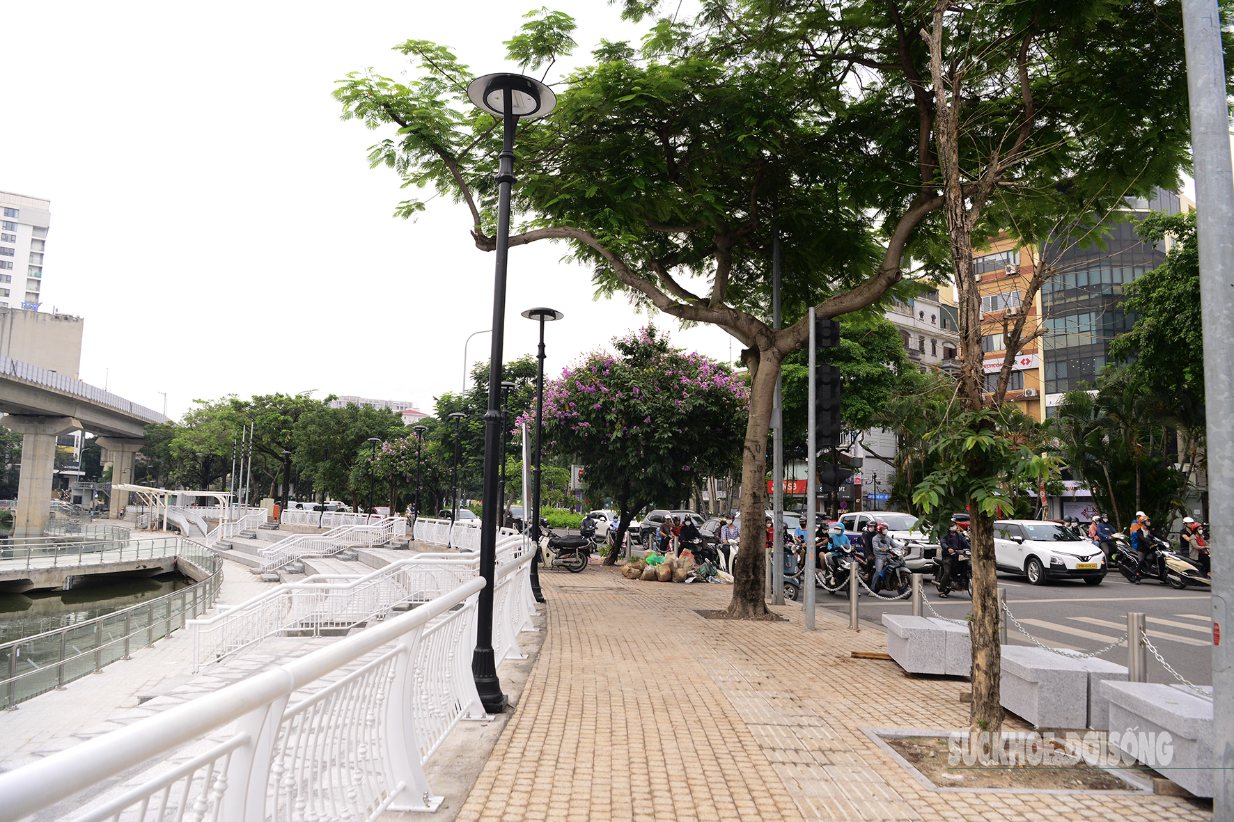 Hồ Hoàng Cầu ‘lột xác’, người dân phấn khởi tập thể dục giữa không gian mới- Ảnh 12. Hồ Hoàng Cầu ‘lột xác’, người dân phấn khởi tập thể dục giữa không gian mới- Ảnh 12.