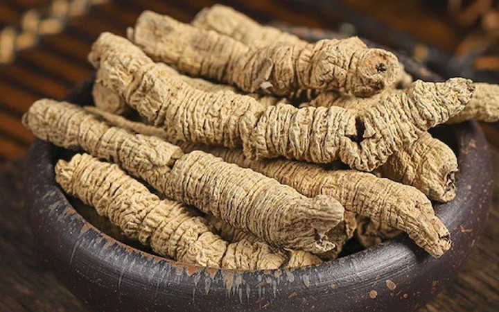 5 cây thuốc nam giúp bổ thận tráng dương tăng cường sức khỏe nam giới