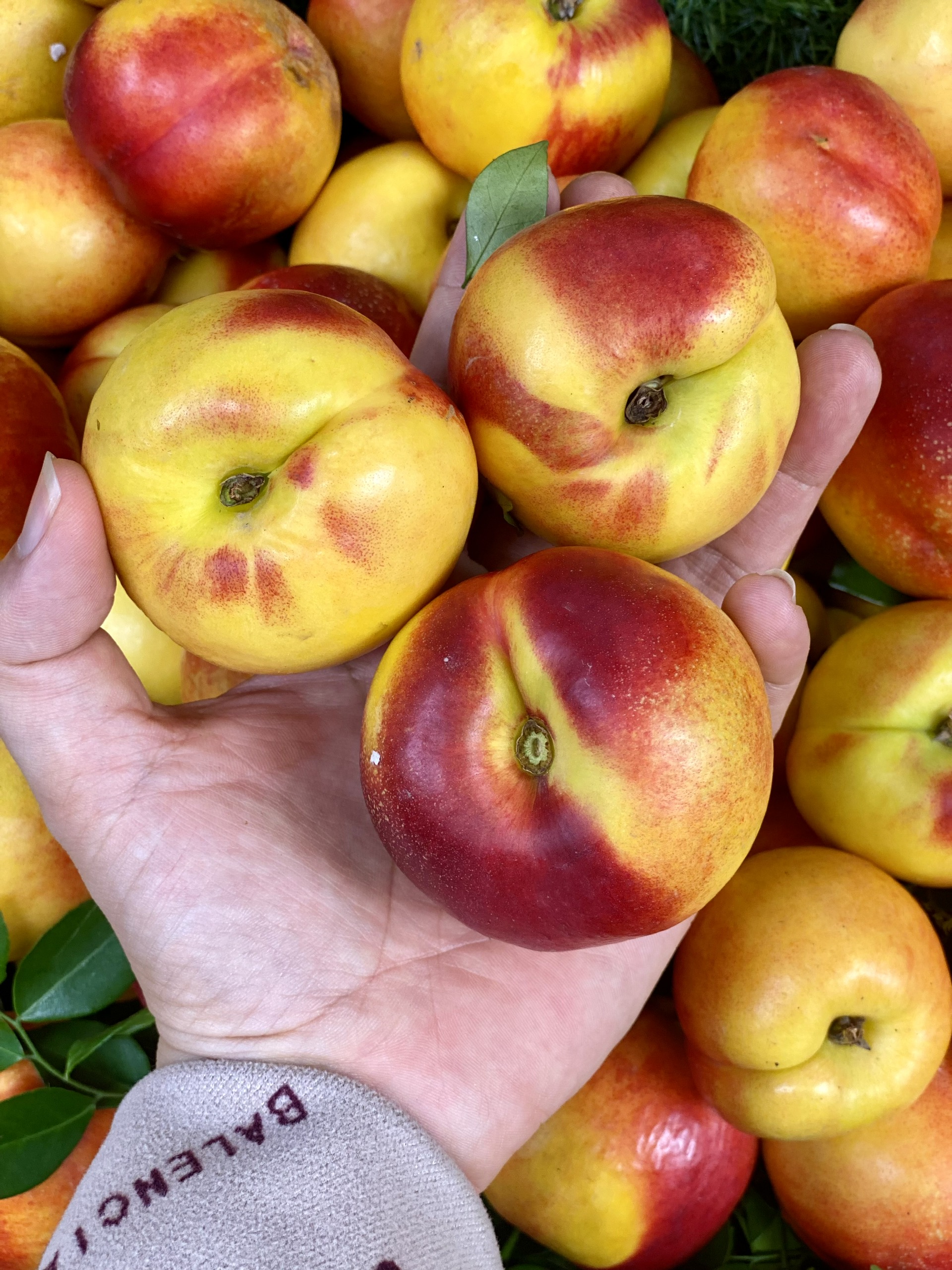 Loại quả giàu chất chống oxy hóa đang vào mùa, bán đầy chợ Việt giá hơn chục nghìn/kg- Ảnh 8. Loại quả giàu chất chống oxy hóa đang vào mùa, bán đầy chợ Việt giá hơn chục nghìn/kg- Ảnh 8.
