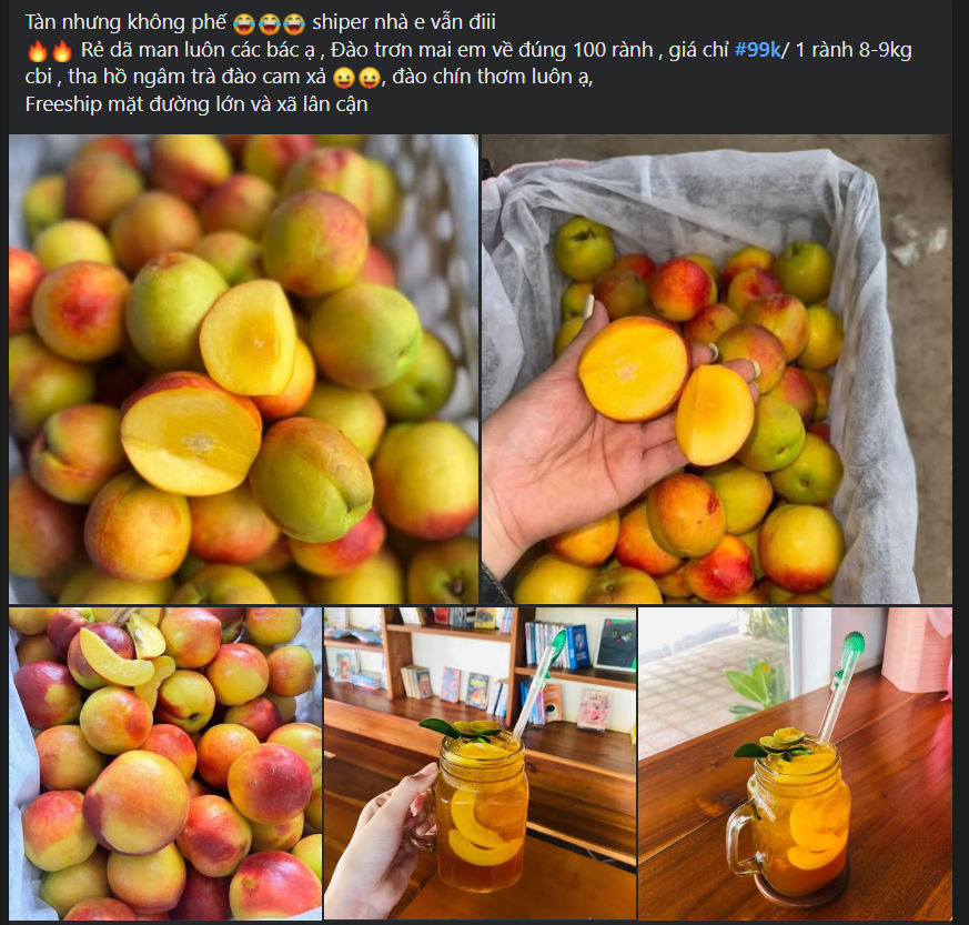Loại quả giàu chất chống oxy hóa đang vào mùa, bán đầy chợ Việt giá hơn chục nghìn/kg- Ảnh 2. Loại quả giàu chất chống oxy hóa đang vào mùa, bán đầy chợ Việt giá hơn chục nghìn/kg- Ảnh 2.