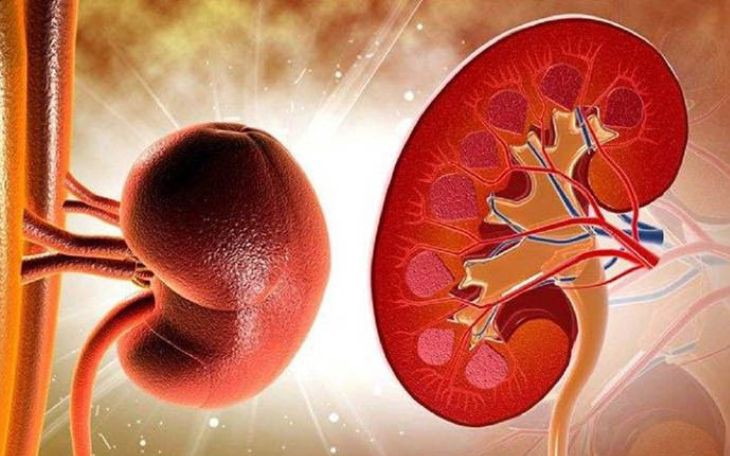 Suy thận có những biểu hiện gì?