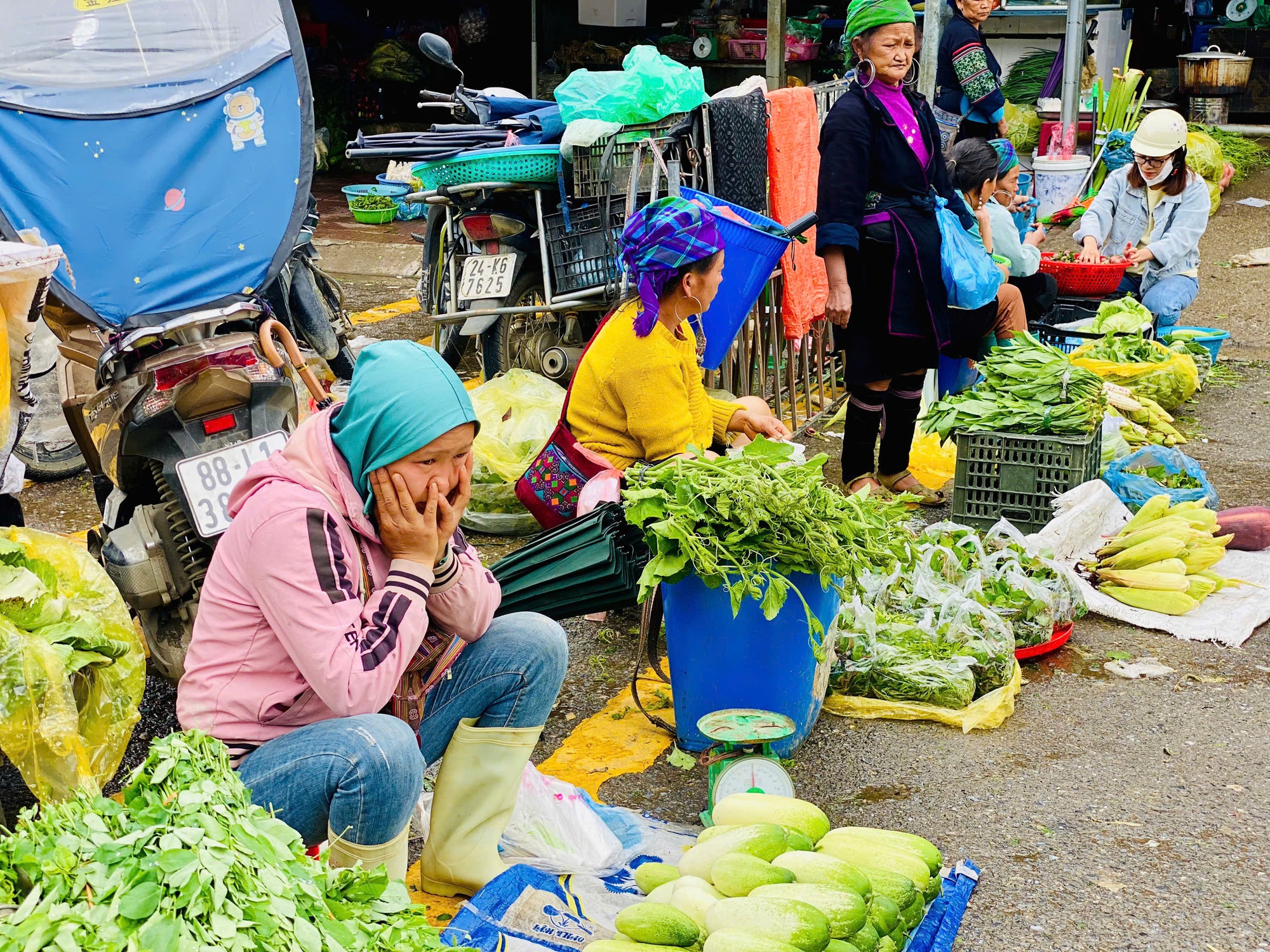 Loại dưa chuột ‘khủng’ cả kg/quả, đặc sản vùng Tây Bắc được chị em thi nhau săn đón- Ảnh 1.