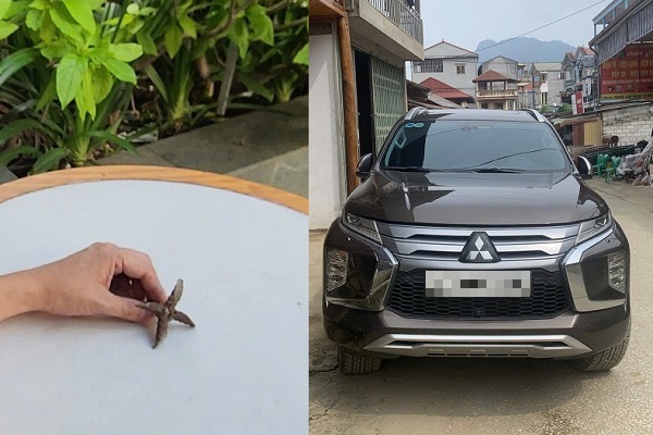 Hà Nội: Chông 5 ngạnh tự chế ‘bẫy’ ô tô ở khu chung cư Tecco- Ảnh 6.