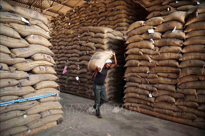 Gạo châu Á chững giá- Ảnh 1. Gạo châu Á chững giá- Ảnh 1.