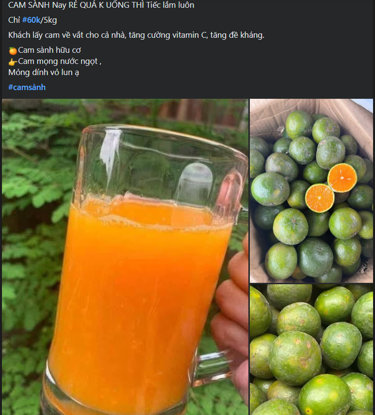 Loại quả ‘quốc dân’ giàu vitamin C bán đầy chợ Việt, giá chỉ hơn chục nghìn đồng/kg- Ảnh 6. Loại quả ‘quốc dân’ giàu vitamin C bán đầy chợ Việt, giá chỉ hơn chục nghìn đồng/kg- Ảnh 6.