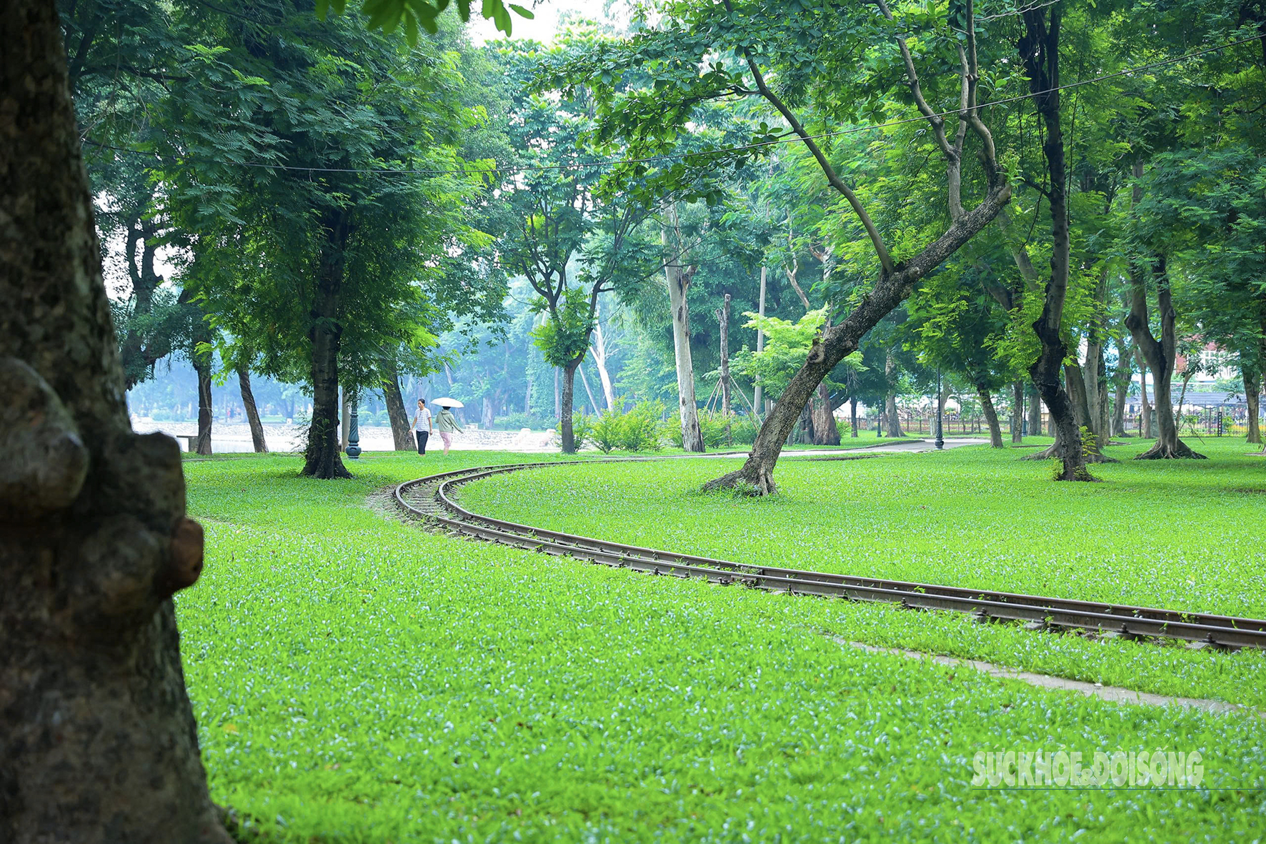 Ngắm ‘lá phổi xanh’ giữa Thủ đô từ trên cao- Ảnh 10. Ngắm ‘lá phổi xanh’ giữa Thủ đô từ trên cao- Ảnh 10.