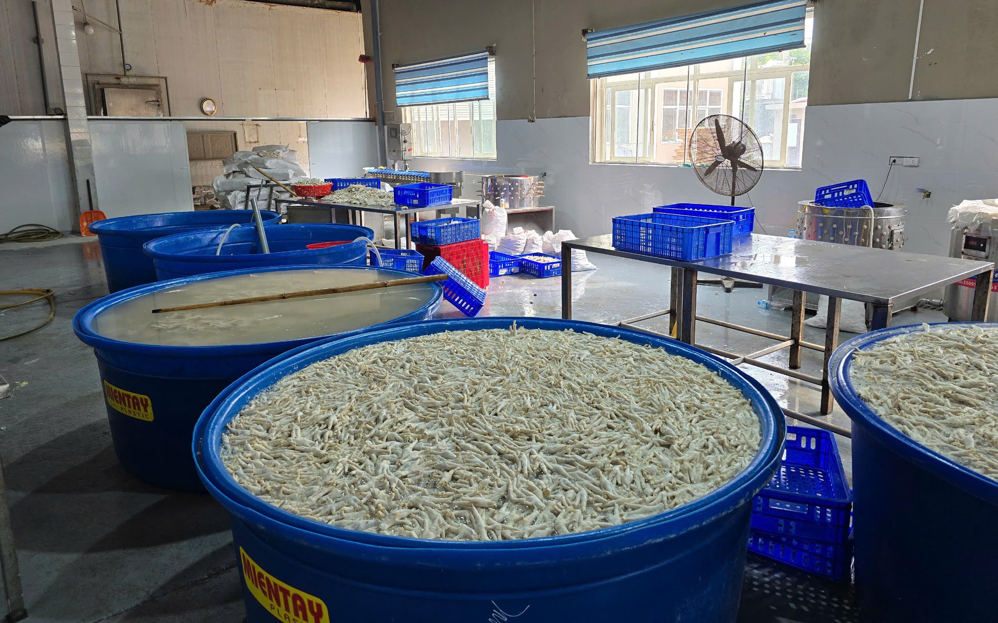 Thanh Hóa phát hiện hơn 13 tấn chân gà ngâm hóa chất tẩy trắng