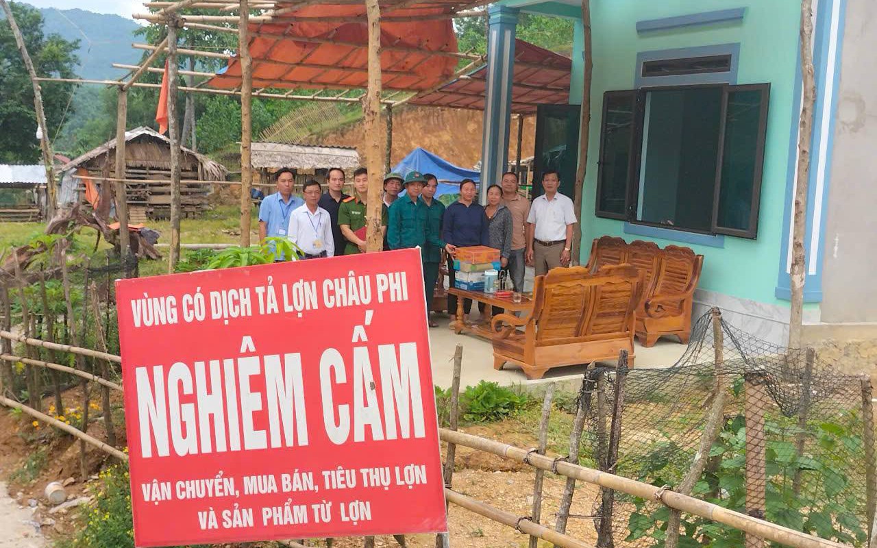 Xuất hiện tình trạng bán tháo lợn bệnh khi dịch tả lợn châu Phi lan rộng