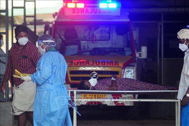 Ấn Độ: Lo ngại nguy cơ bùng phát dịch liên quan đến virus Nipah- Ảnh 1. Ấn Độ: Lo ngại nguy cơ bùng phát dịch liên quan đến virus Nipah- Ảnh 1.