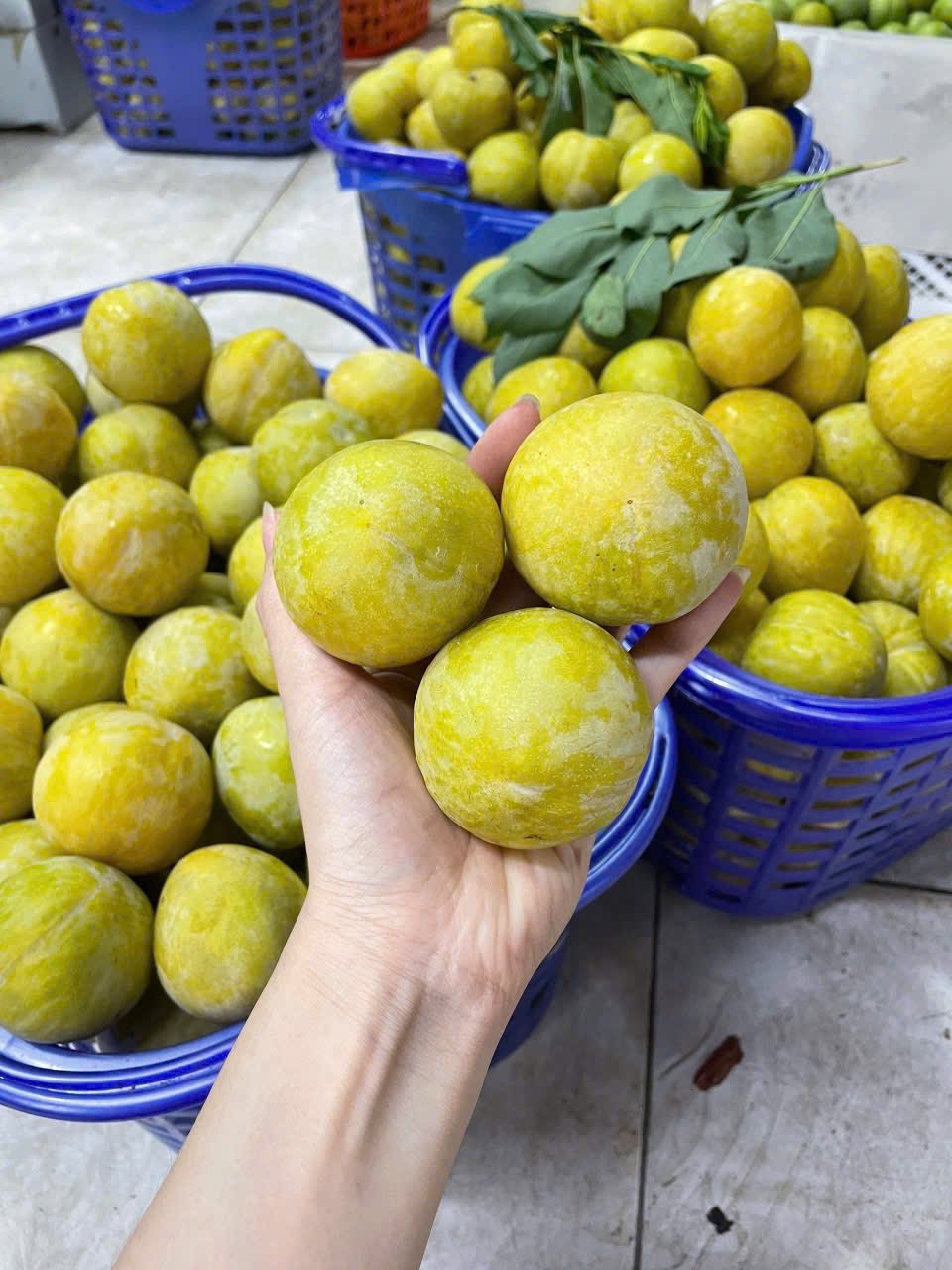 Một loại mận của Trung Quốc có giá vài trăm nghìn đồng/kg đổ bộ thị trường quả Việt được chị em săn đón- Ảnh 7.