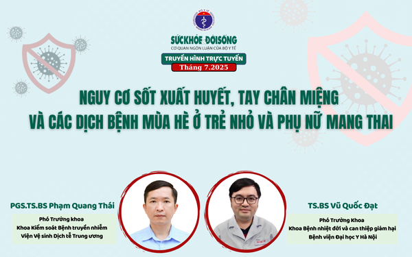 Truyền hình trực tuyến: Nguy cơ sốt xuất huyết, tay chân miệng và các dịch bệnh mùa hè ở trẻ nhỏ và phụ nữ mang thai