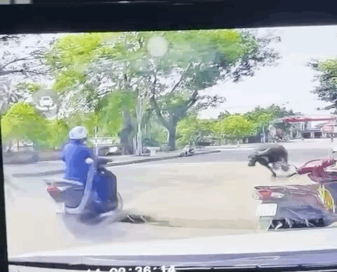 Trâu xổng chuồng húc người đi đường gãy xương, ai phải bồi thường?- Ảnh 1. Trâu xổng chuồng húc người đi đường gãy xương, ai phải bồi thường?- Ảnh 1.