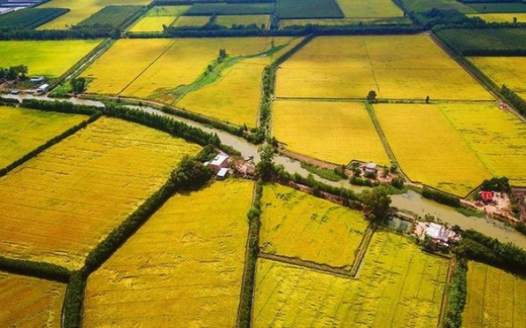 Các trường hợp đất nông nghiệp không được cấp sổ đỏ mới nhất