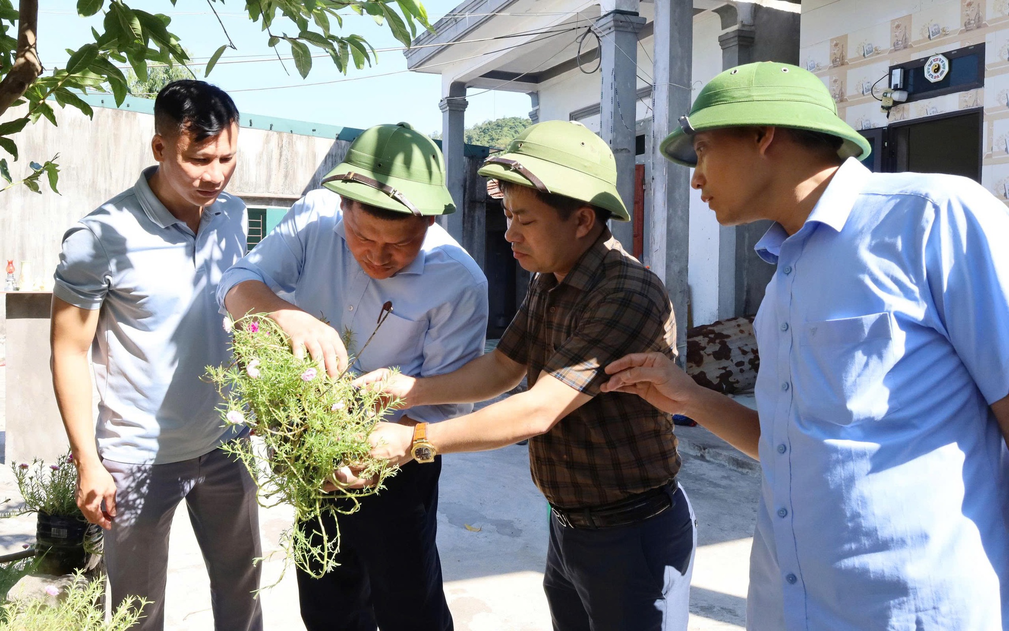 Hà Tĩnh xuất hiện ổ dịch sốt xuất huyết đầu tiên trong năm