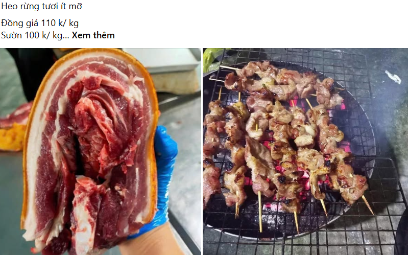 Mua thịt lợn rừng nuôi qua mạng: Rẻ chưa chắc đã "sạch"