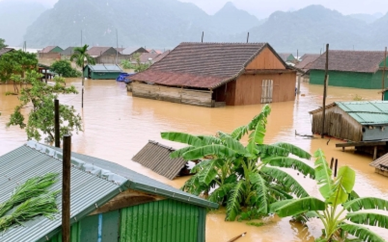 Bộ Nông nghiệp và Môi trường hướng dẫn cách ứng phó với bão