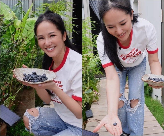 Hành trình vượt bạo bệnh của ca sĩ Hồng Nhung nhờ khu vườn trên cao và không gian 'chữa lành'- Ảnh 4.